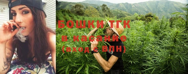 сатива Вязники