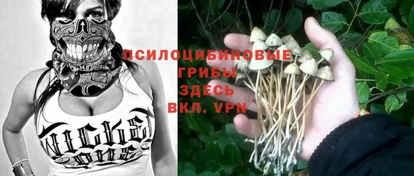 сатива Вязники
